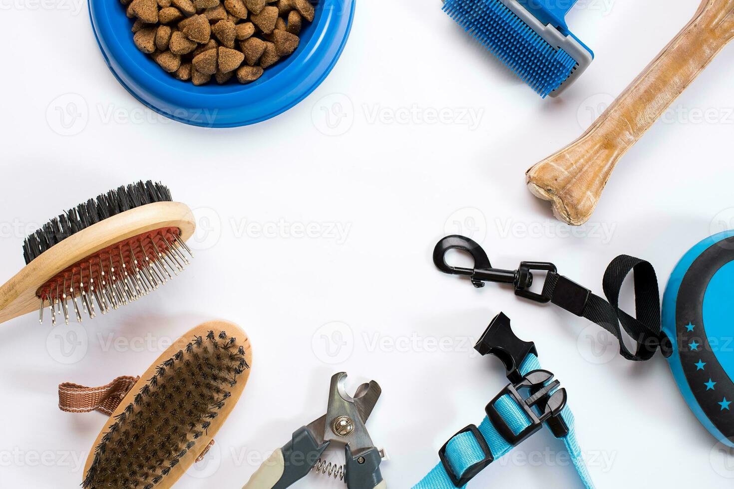 Collar, bowl with feed, leash, delicacy, combs and brushes for dogs. Isolated on white background photo