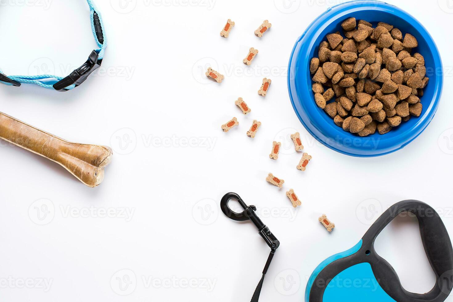 Collar, blue bowl with feed, leash and delicacy for dogs. Isolated on white background photo