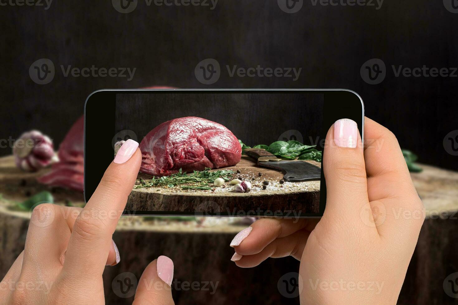 A young woman taking photo of food on smartphone, photographing meal with mobile camera