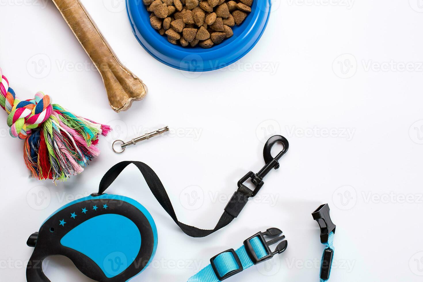 Collar, blue bowl with feed, leash and delicacy for dogs. Isolated on white background photo