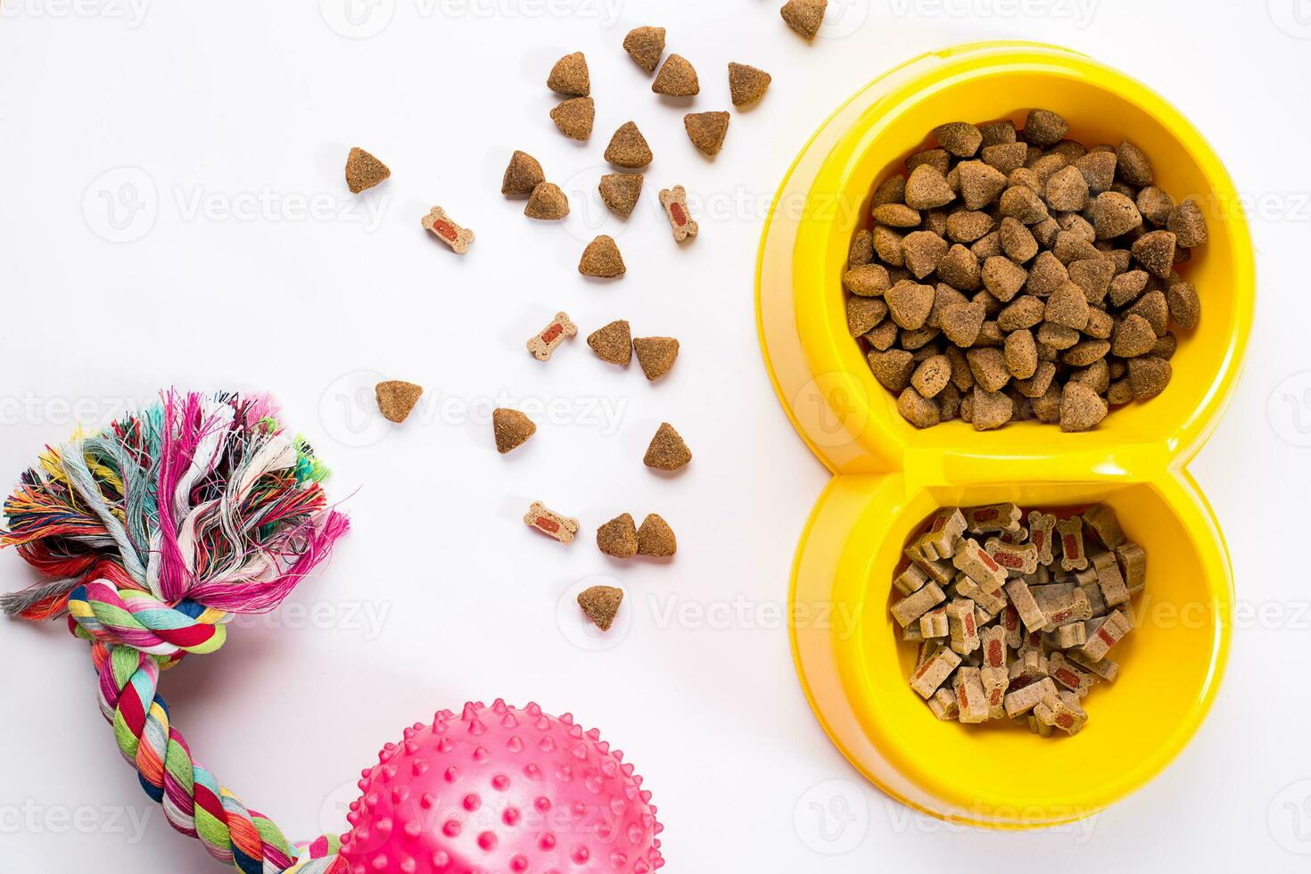 dry pet food in bowl and toys for dogs on white background top view photo