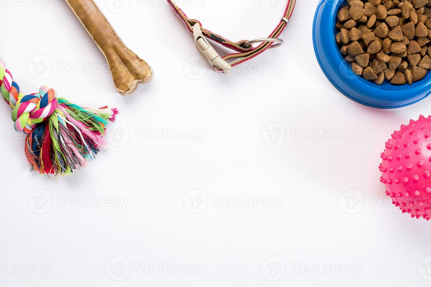 Collar, blue bowl with feed, leash and delicacy for dogs. Isolated on white background photo