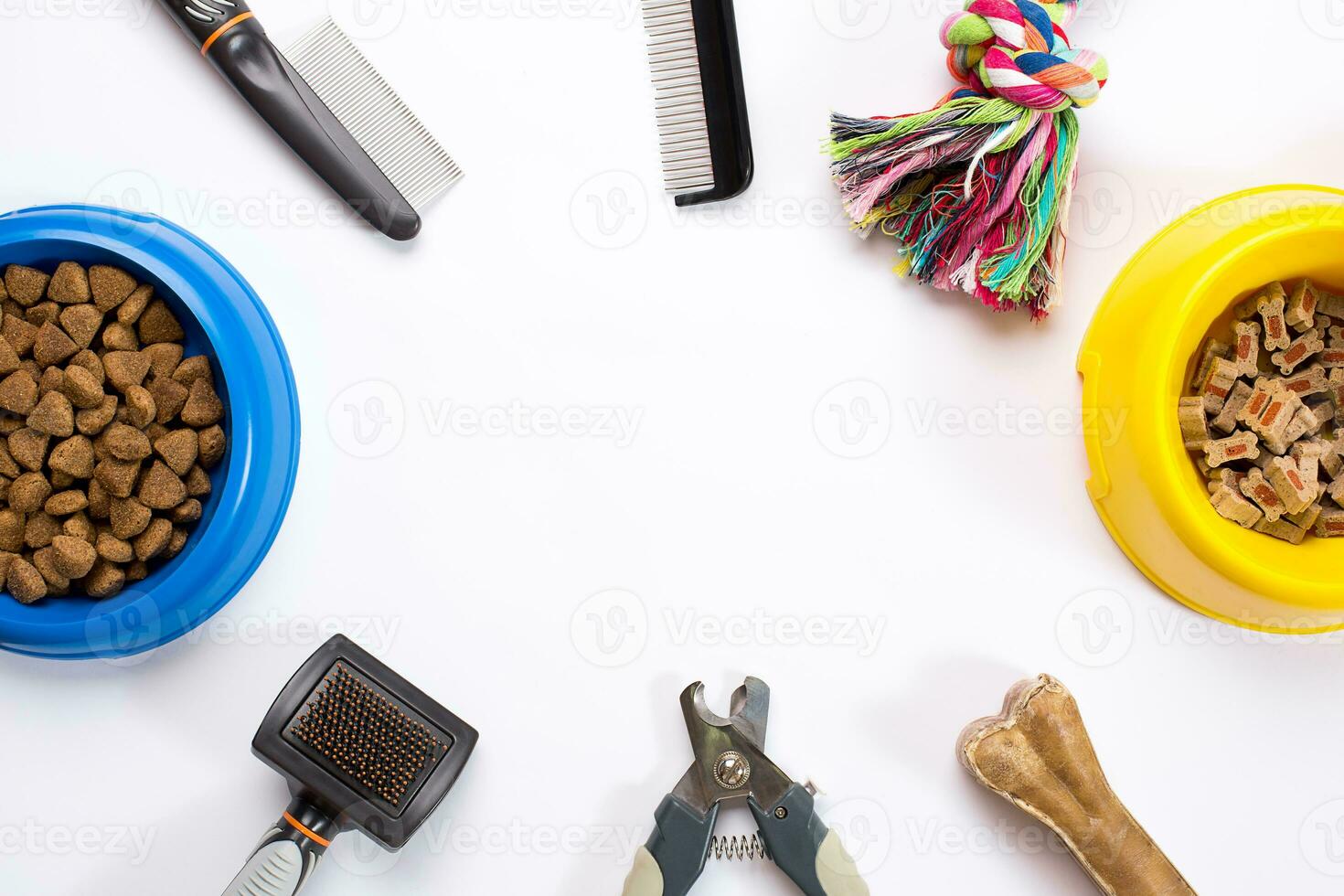 Collar, blue bowl with feed, leash, delicacy, combs and brushes for dogs. Isolated on white background photo