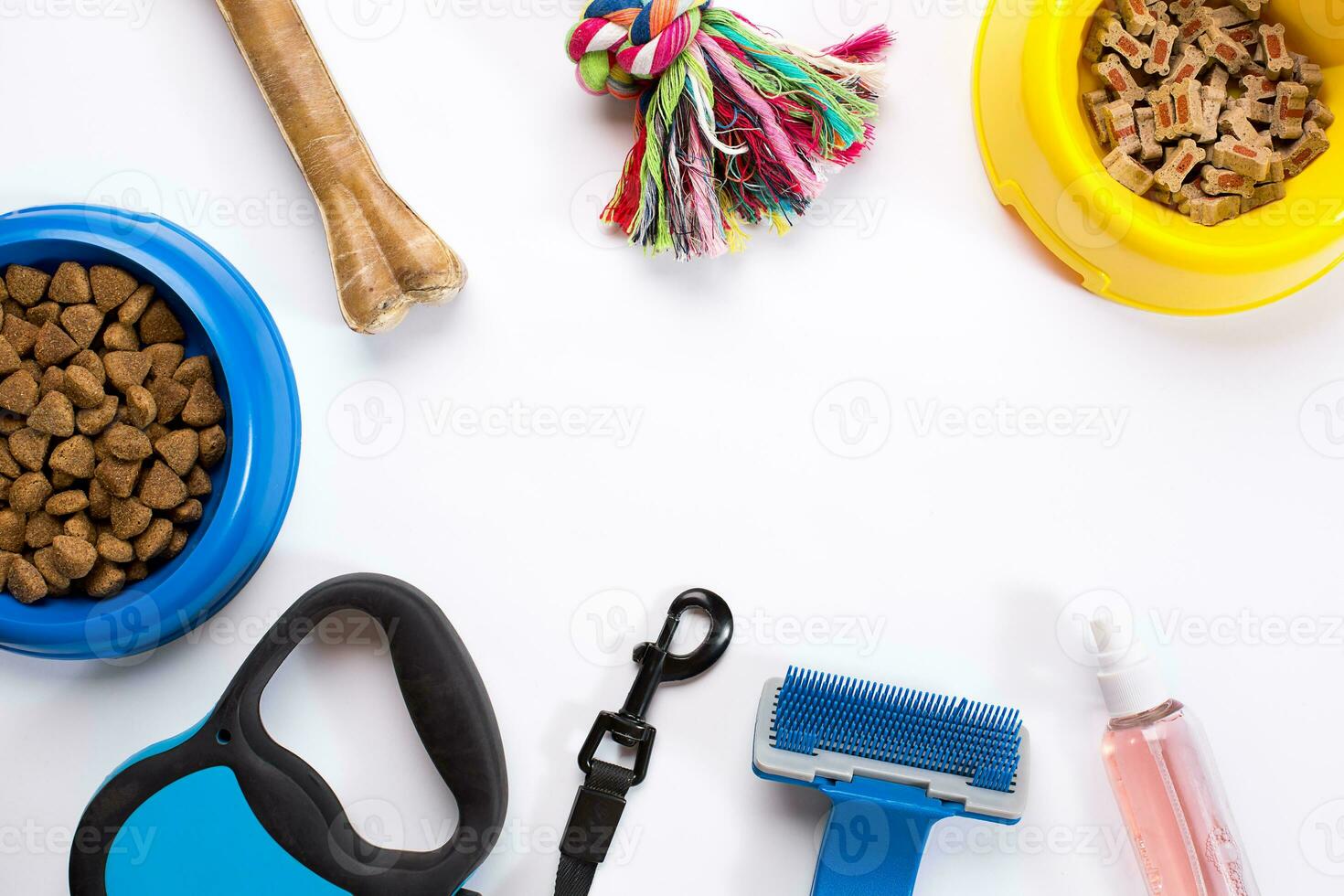 Collar, blue bowl with feed, leash, delicacy, combs and brushes for dogs. Isolated on white background photo