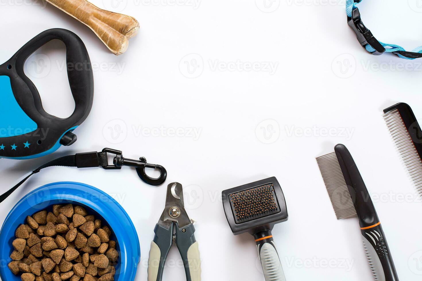 Collar, blue bowl with feed, leash, delicacy, combs and brushes for dogs. Isolated on white background photo