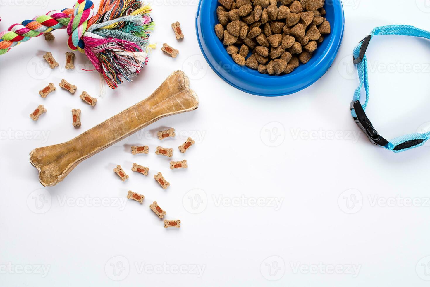 Collar, blue bowl with feed, leash and delicacy for dogs. Isolated on white background photo