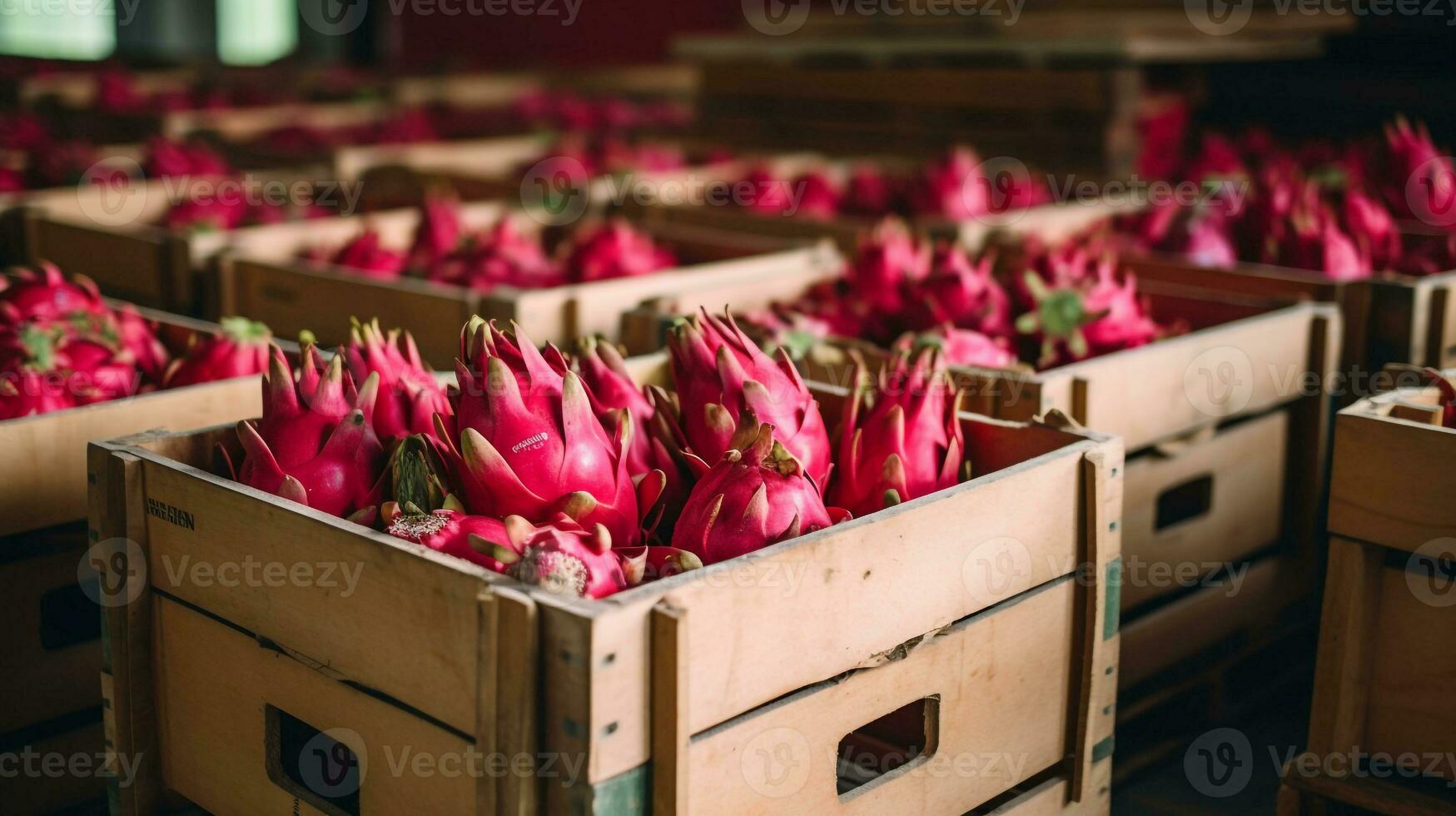 Freshly picked Red pitahaya fruit from garden placed in the boxes. Generative AI photo