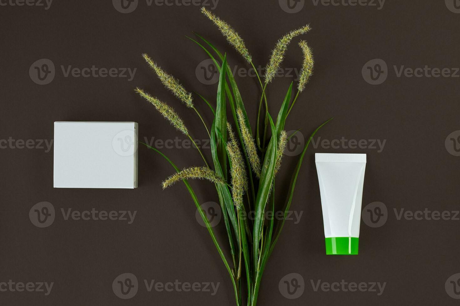 White cosmetic tube with green cap and cardboard box with no logo, flowering spikelets against black studio background. Close up, copy space photo