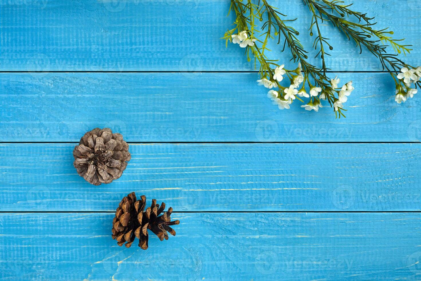 Two dry pine cones and artificial branches with white blooming flowers against blue wooden background. Close up, copy space photo