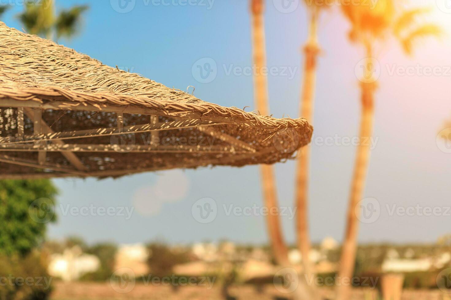Straw umbrellas against the sky with view at palm trees photo