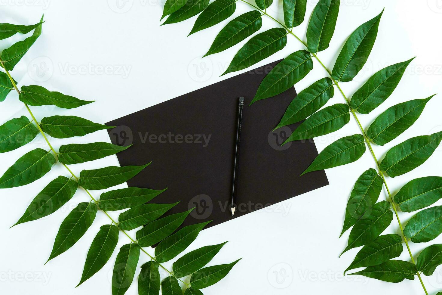 Natural composition with sketchbook and pencils on white table, decorated with green branches. Flat lay, top view, view from above photo