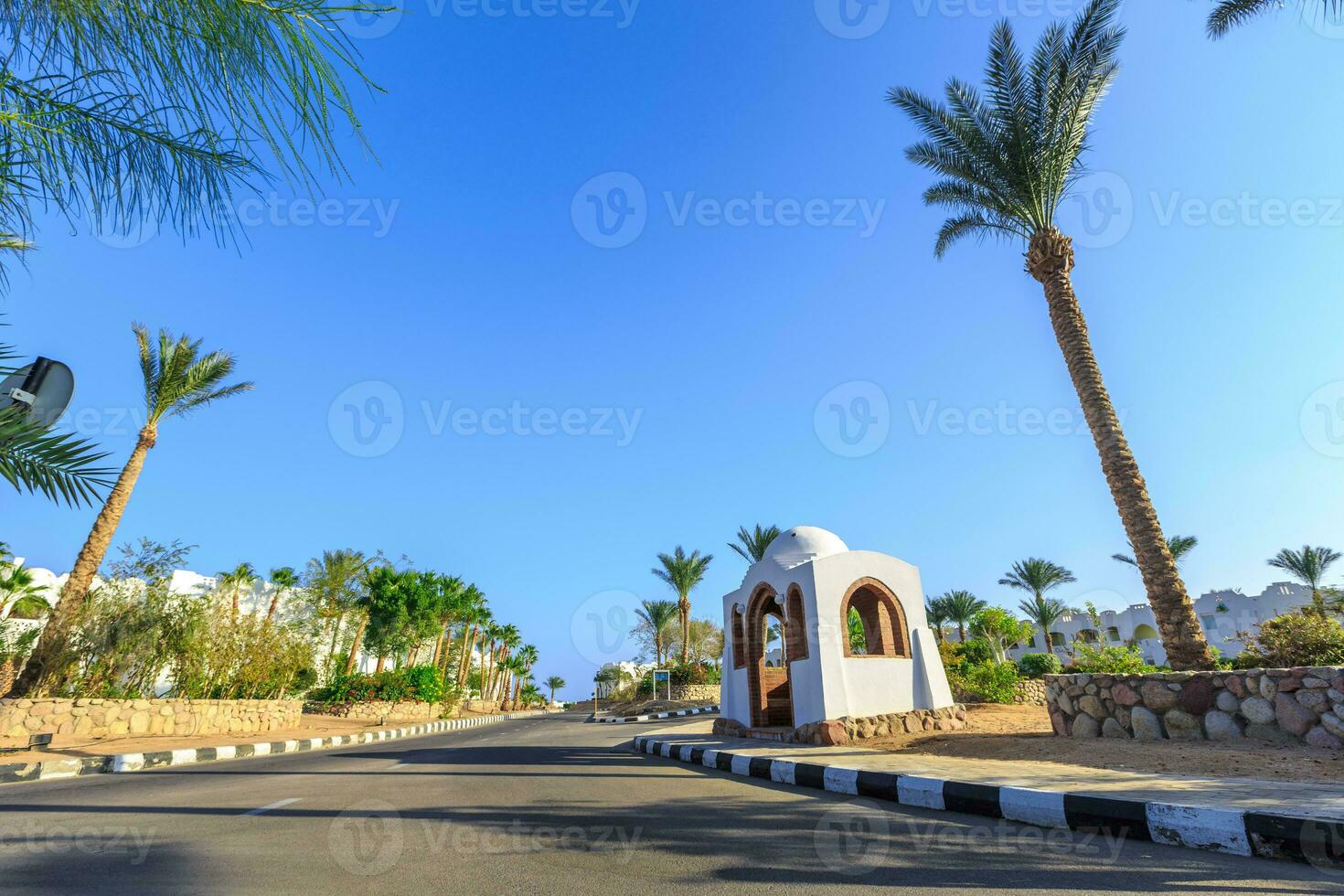 The view to road and palm trees near the hotels photo