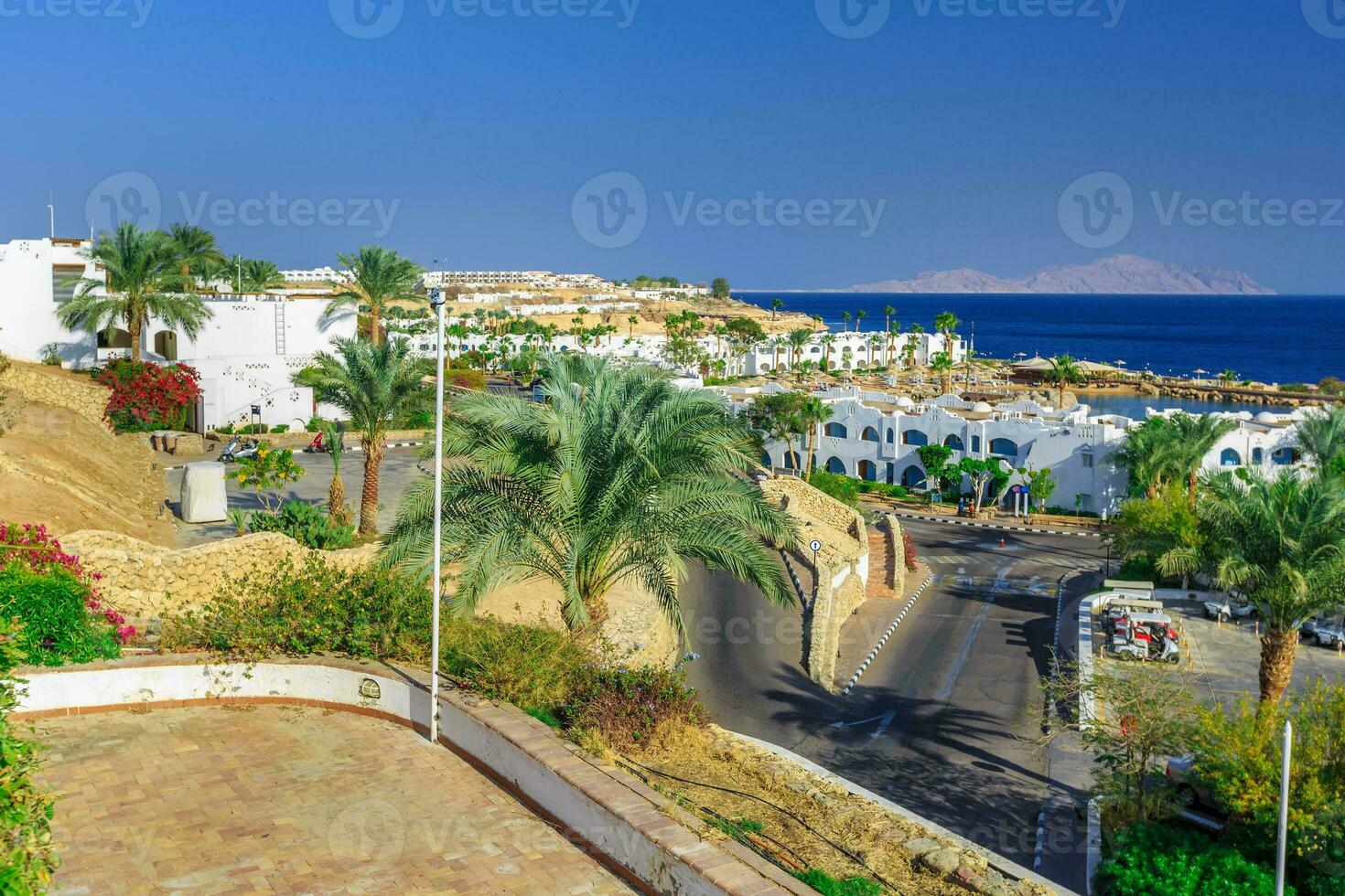 panorama de blanco ciudad a un tropical fiesta complejo, Egipto foto