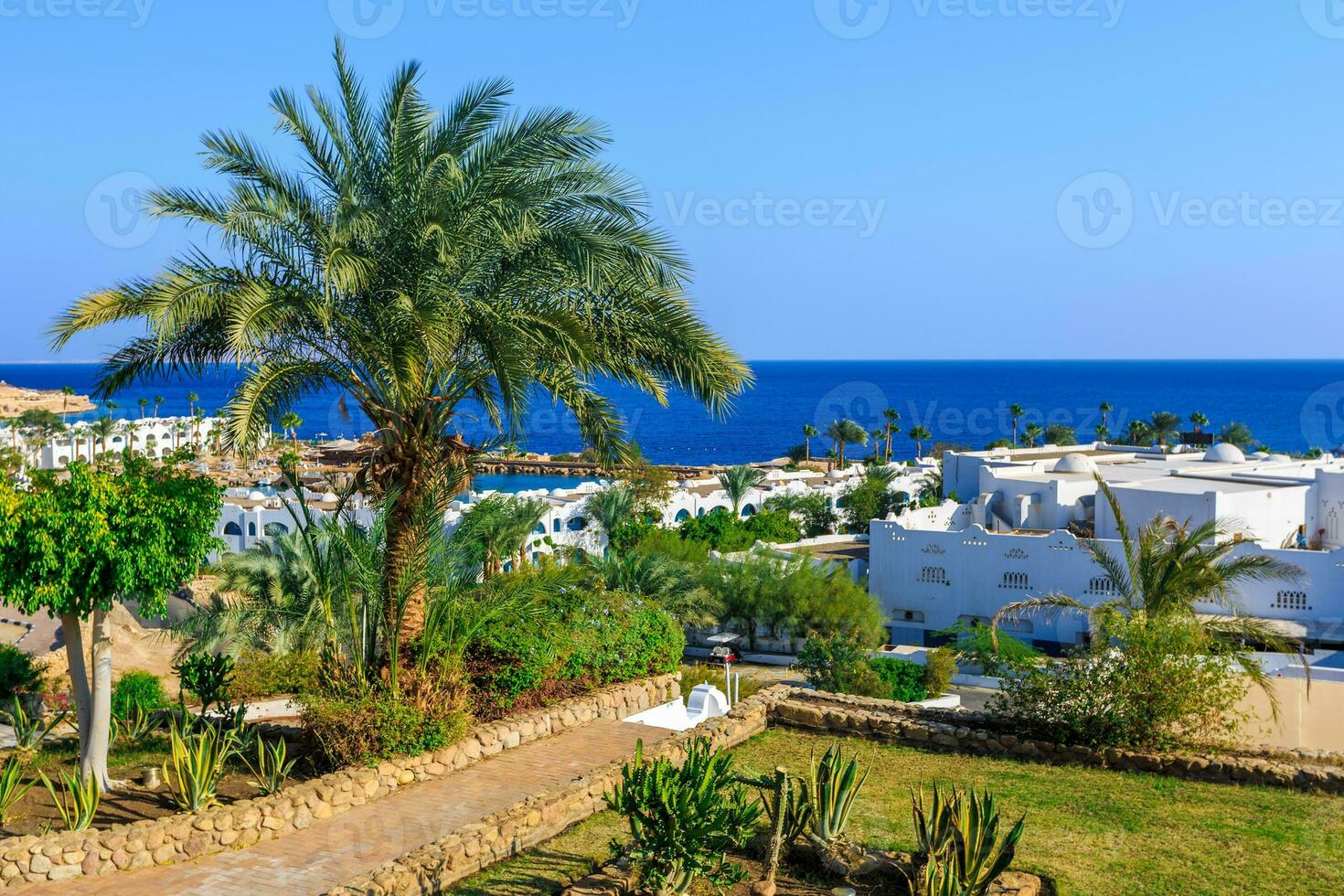 Panorama of white city at a tropical holiday resort, Egypt photo