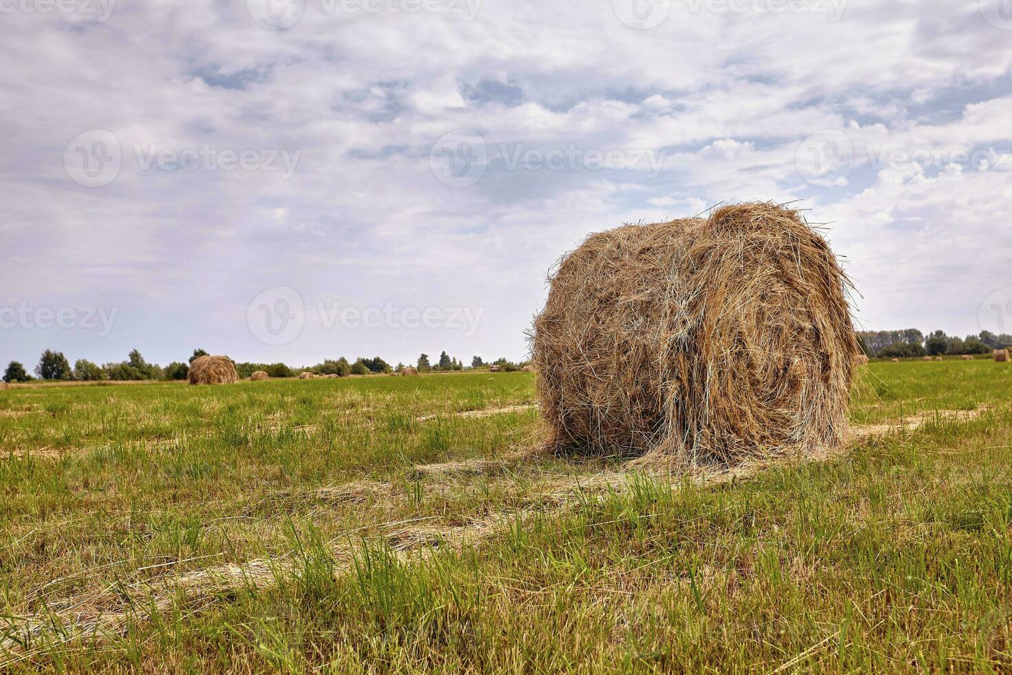 Haystack harvest agriculture field landscape. Agriculture field haystack view. photo