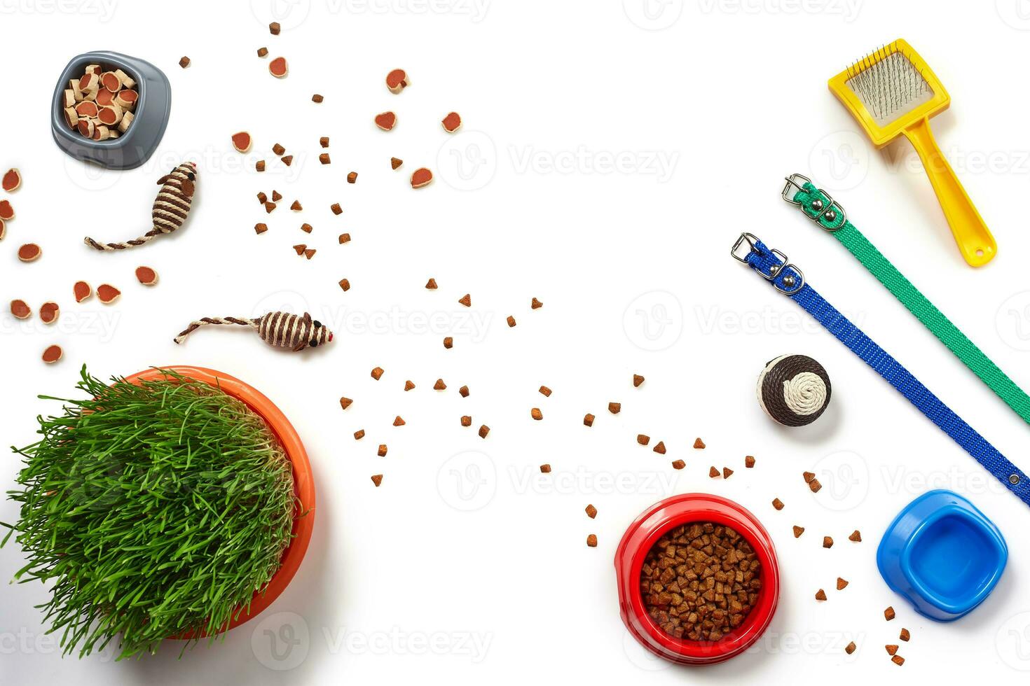 Flat lay composition with accessories for a cat isolated on white background. Pet care. photo