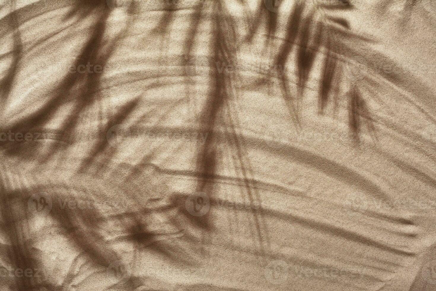 Summer concept with a shadow of a tropical palm tree leaves, copyspace on a white beach sand. photo