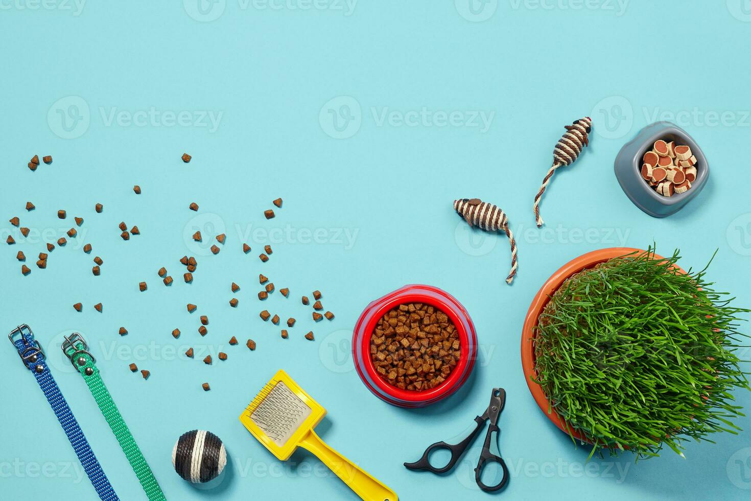 Flat lay composition with accessories for a cat on a blue background. Pet care. photo