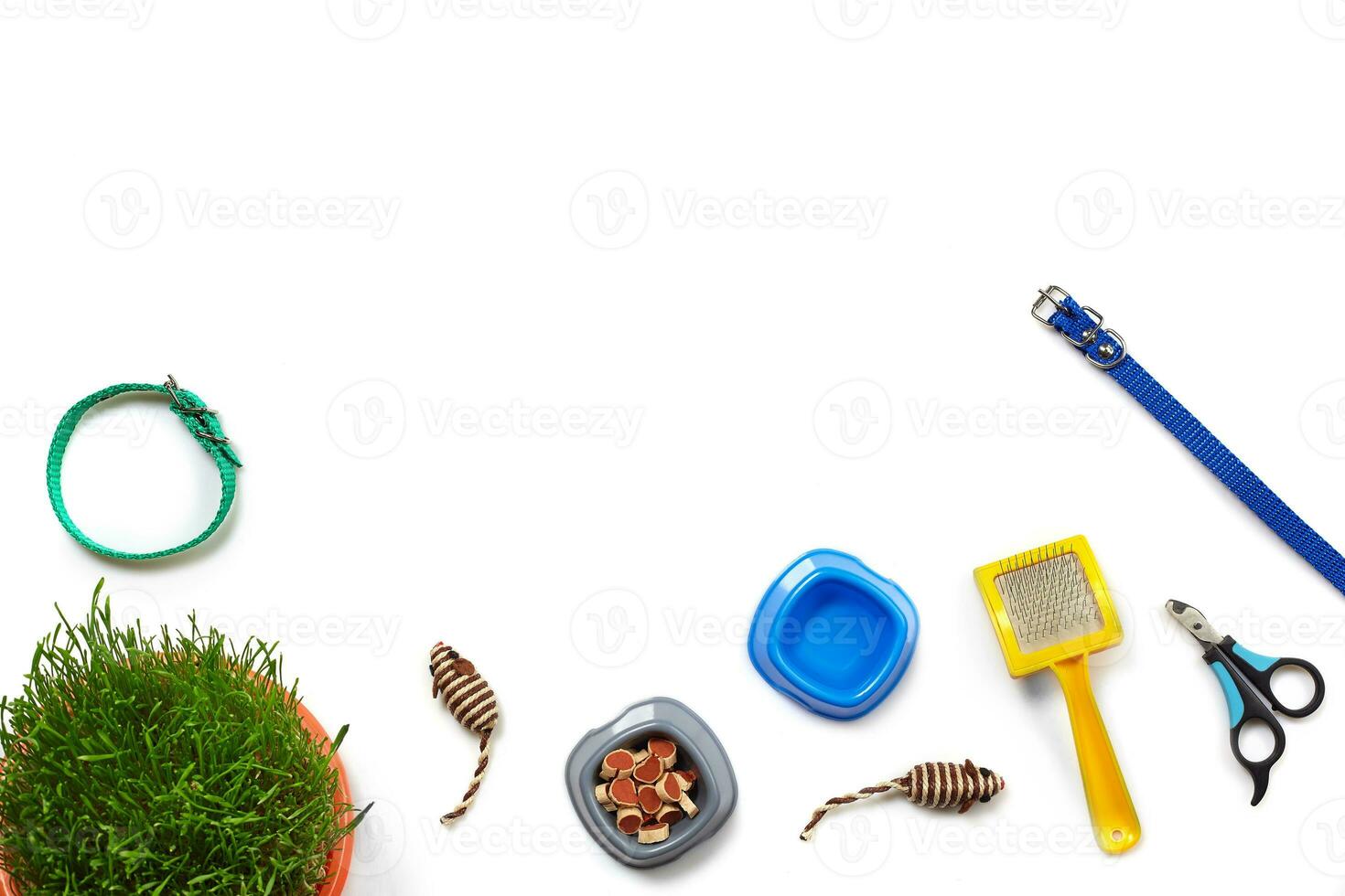 Flat lay composition with accessories for a cat isolated on white background. Pet care. photo
