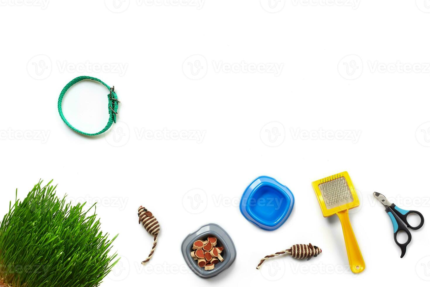 Flat lay composition with accessories for a cat isolated on white background. Pet care. photo