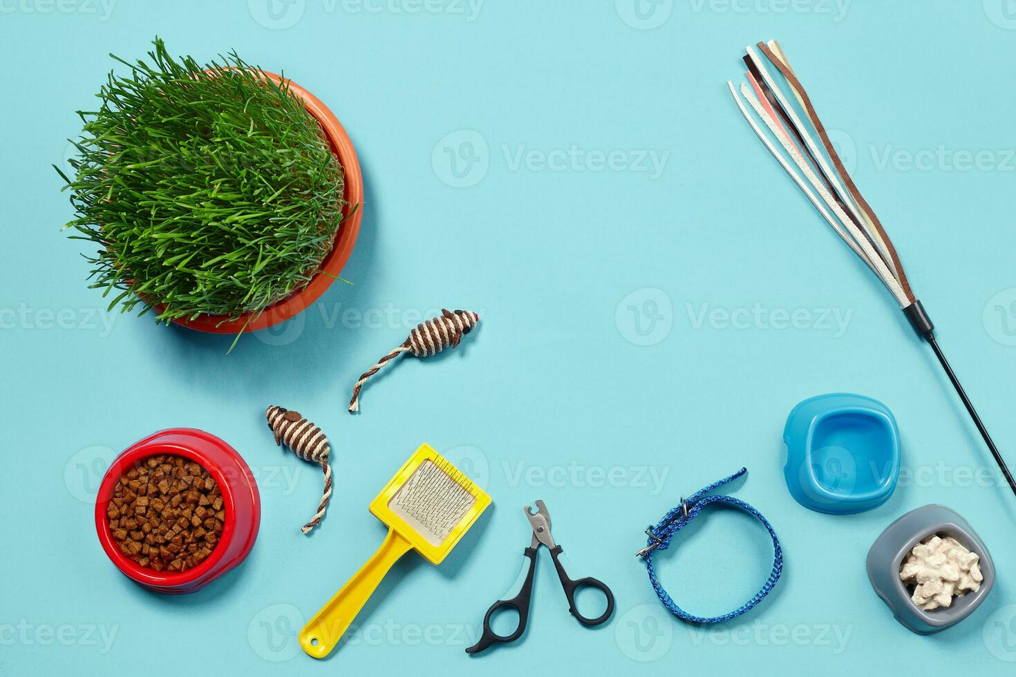 Flat lay composition with accessories for a cat on a blue background. Pet care. photo