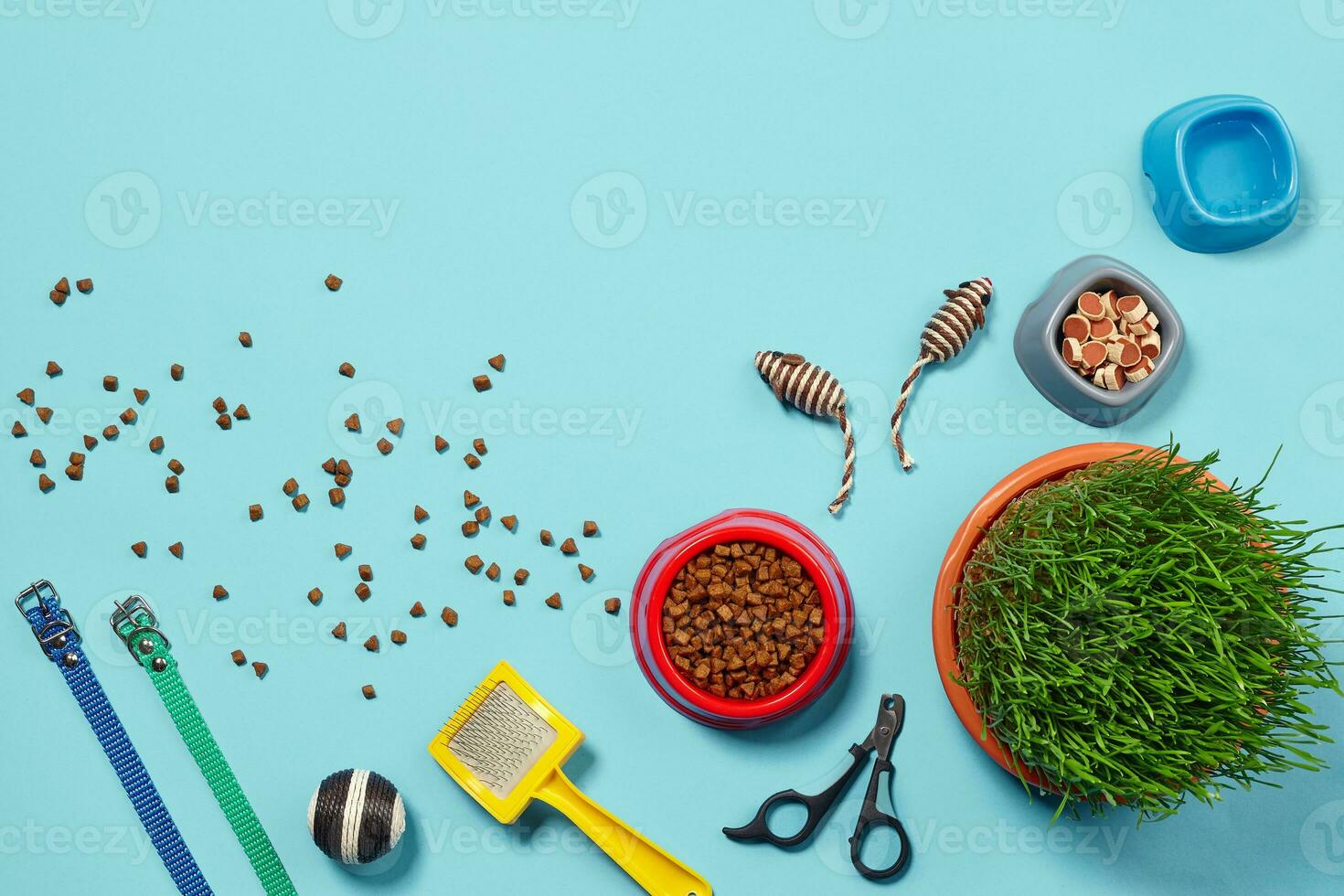Flat lay composition with accessories for a cat on a blue background. Pet care. photo