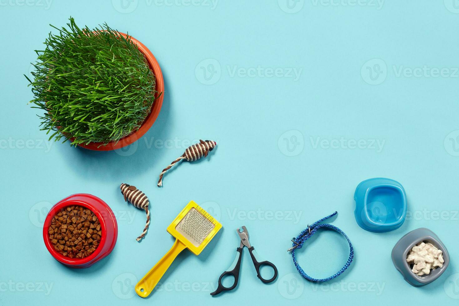 Flat lay composition with accessories for a cat on a blue background. Pet care. photo