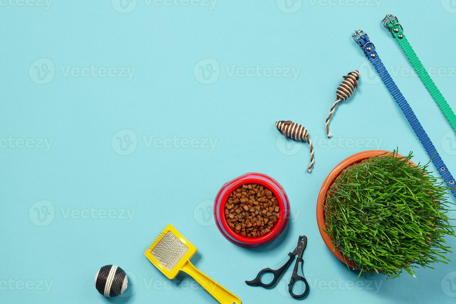 Flat lay composition with accessories for a cat on a blue background. Pet care. photo