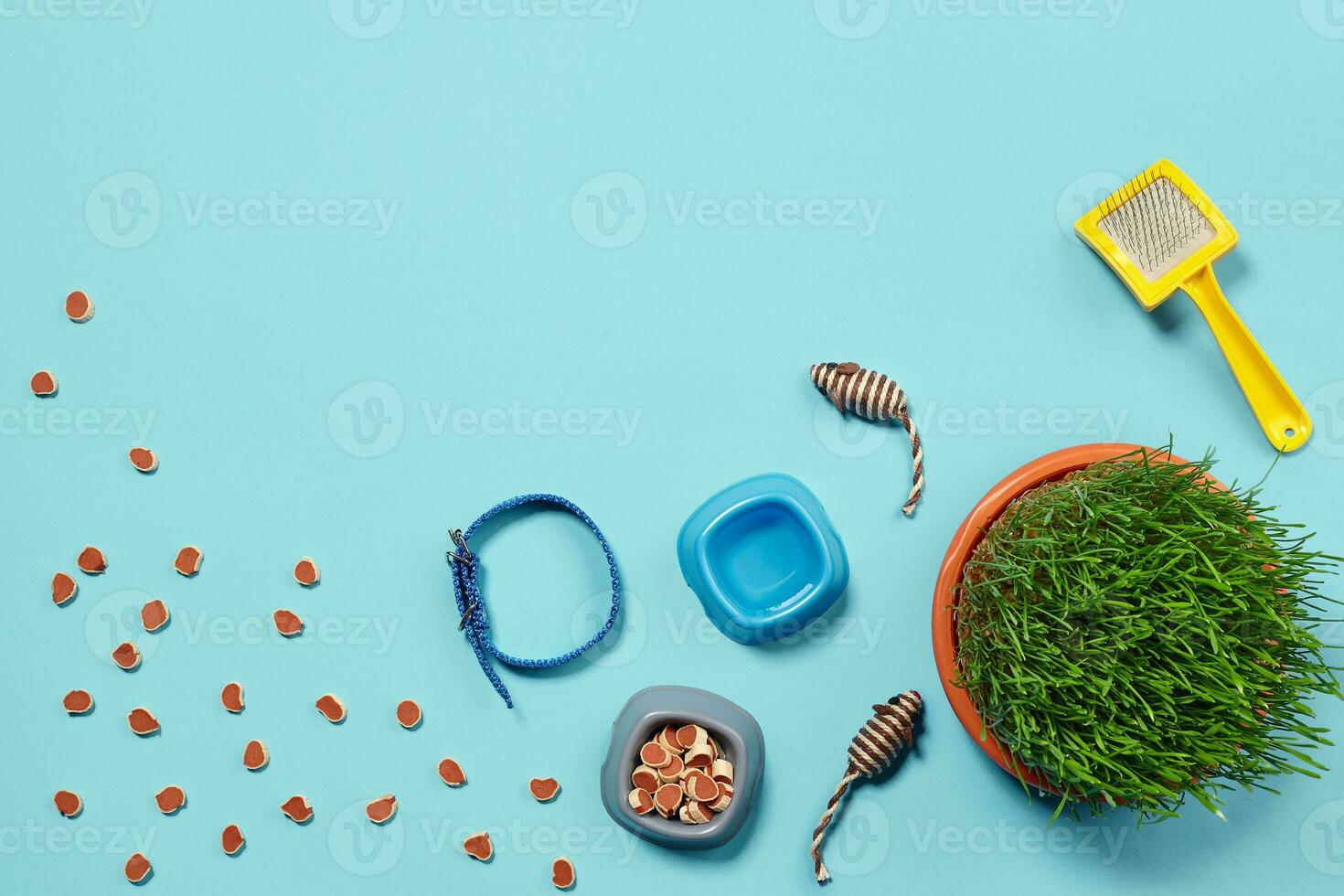 Flat lay composition with accessories for a cat on a blue background. Pet care. photo