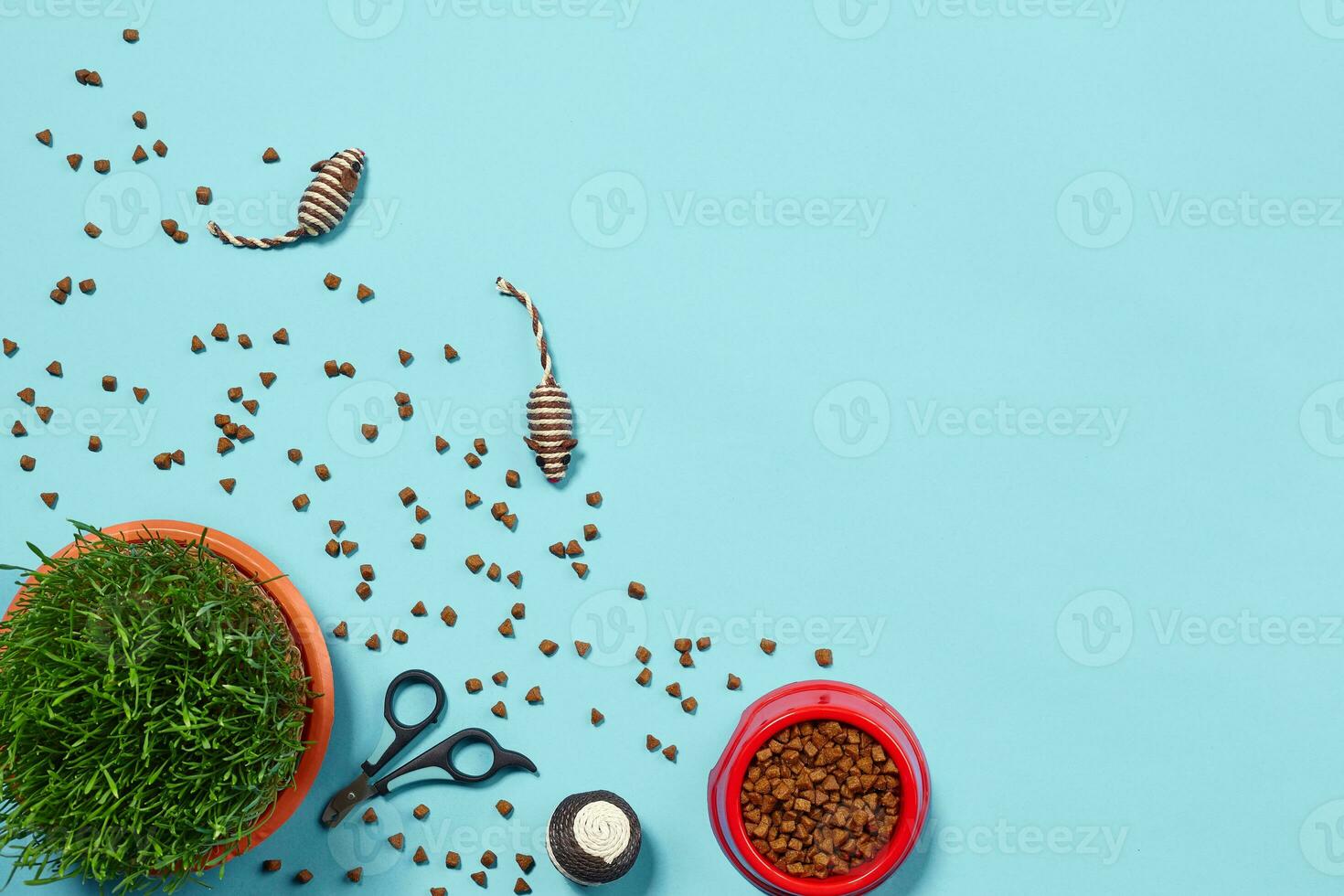 Flat lay composition with accessories for a cat on a blue background. Pet care. photo