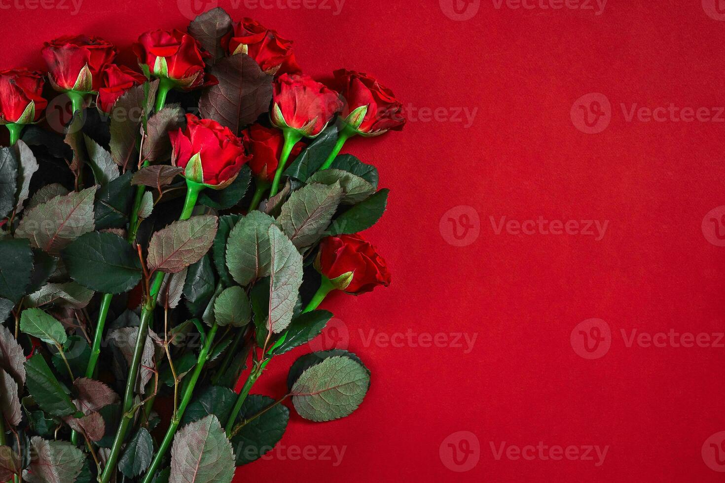 Close-up beautiful red roses bouquet on red background for valen photo