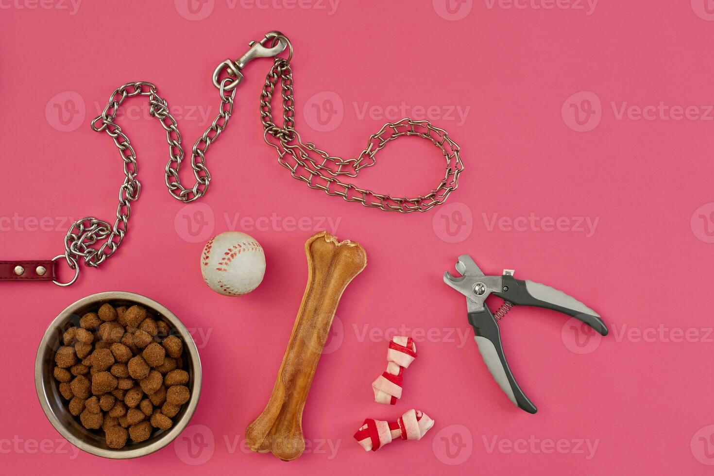 Dog food in metallic bowl and accessories on pink background photo