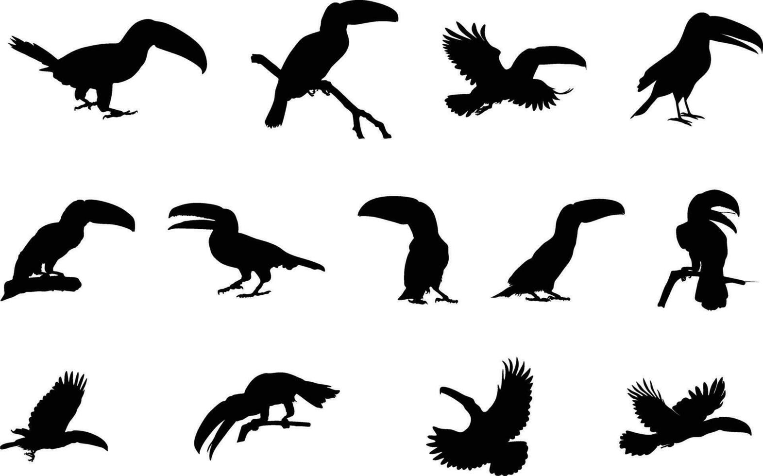 Toucan silhouettes, Toucan bird silhouette, Flying toucan silhouette, Toucan toco clipart vector