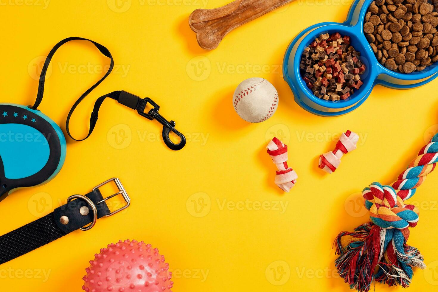 Dog accessories on yellow background. Top view. Pets and animals concept photo
