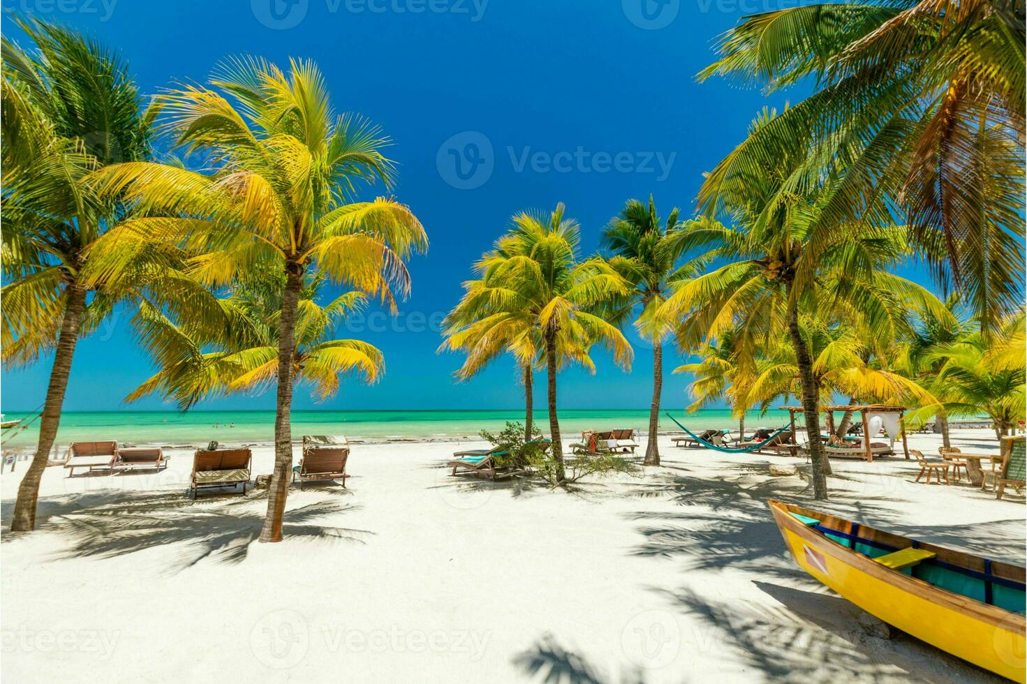 Tranquil tropical beach with palm trees and blue sea. photo