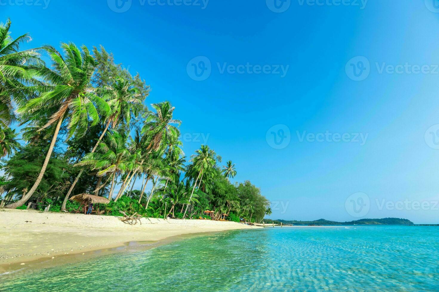 Tranquil tropical beach with palm trees and blue sea. photo