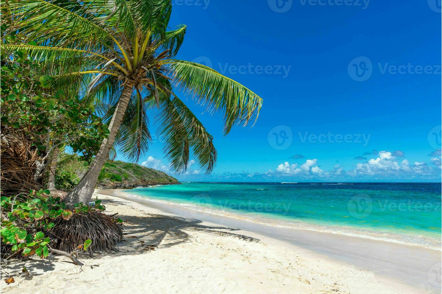 tranquilo tropical playa con palma arboles y azul mar. foto