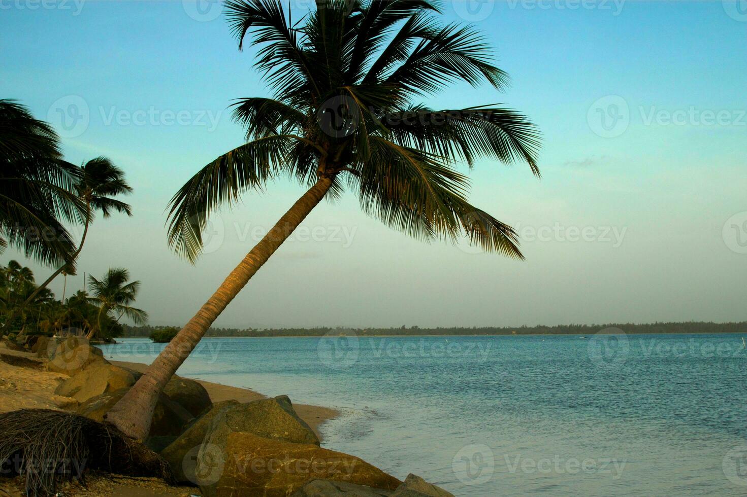 tranquilo tropical playa con palma arboles y azul mar. foto