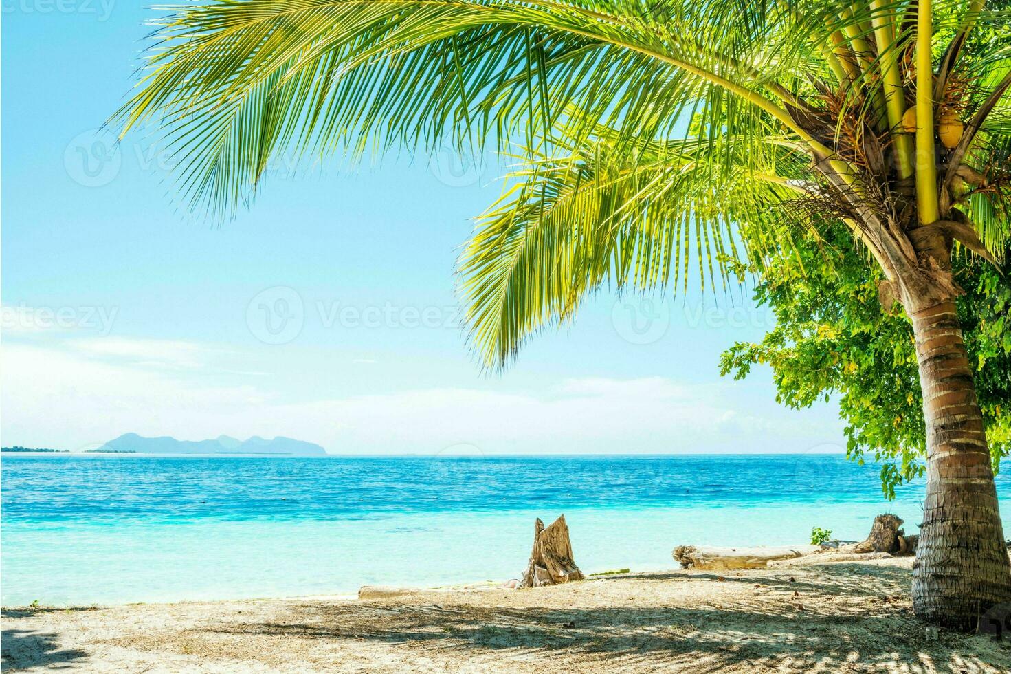 tranquilo tropical playa con palma arboles y azul mar. foto