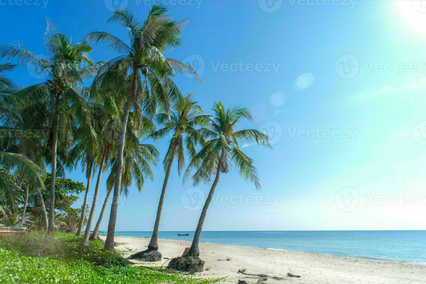 tranquilo tropical playa con palma arboles y azul mar. foto