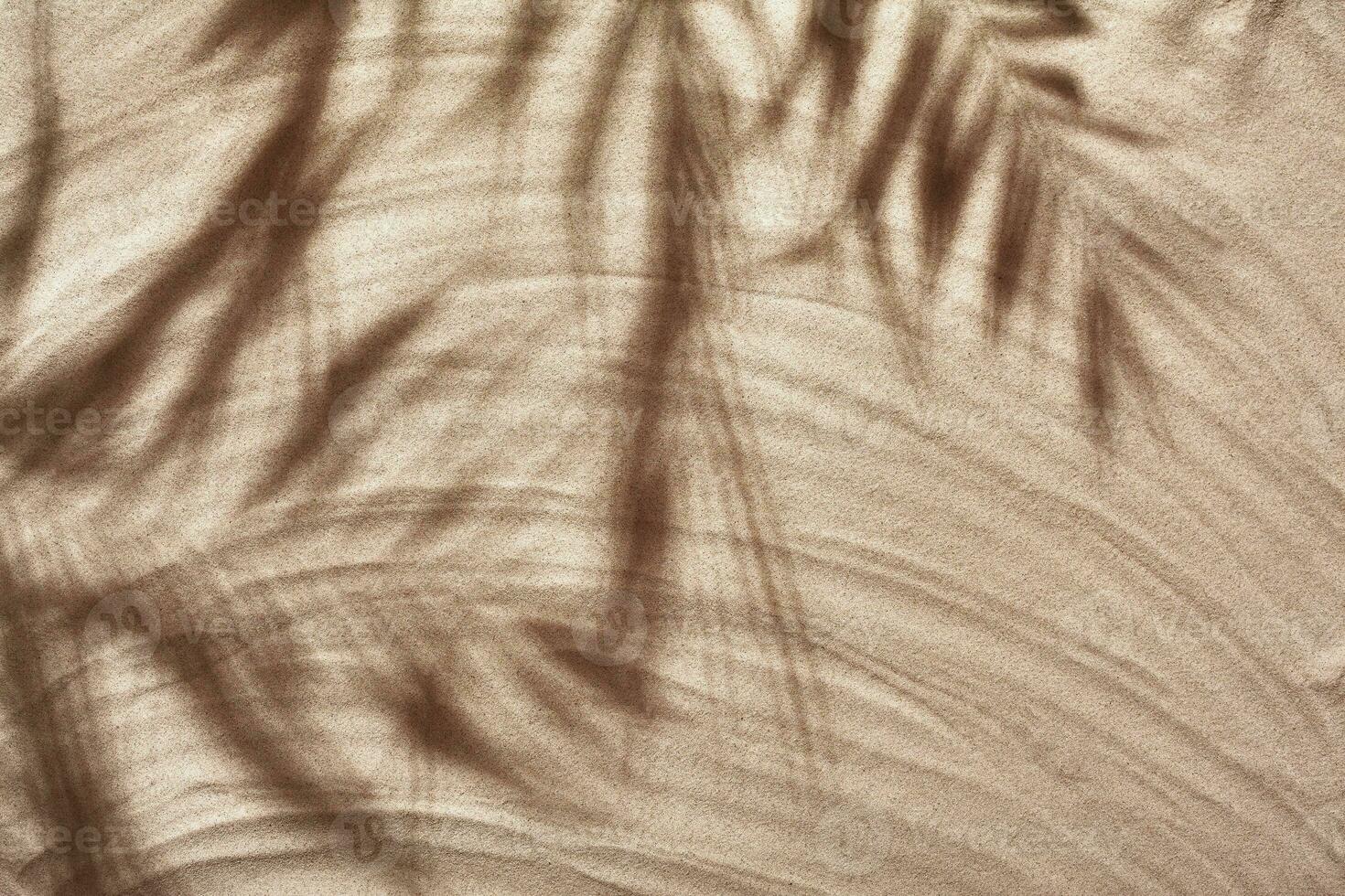 Summer concept with a shadow of a tropical palm tree leaves, copyspace on a white beach sand. photo