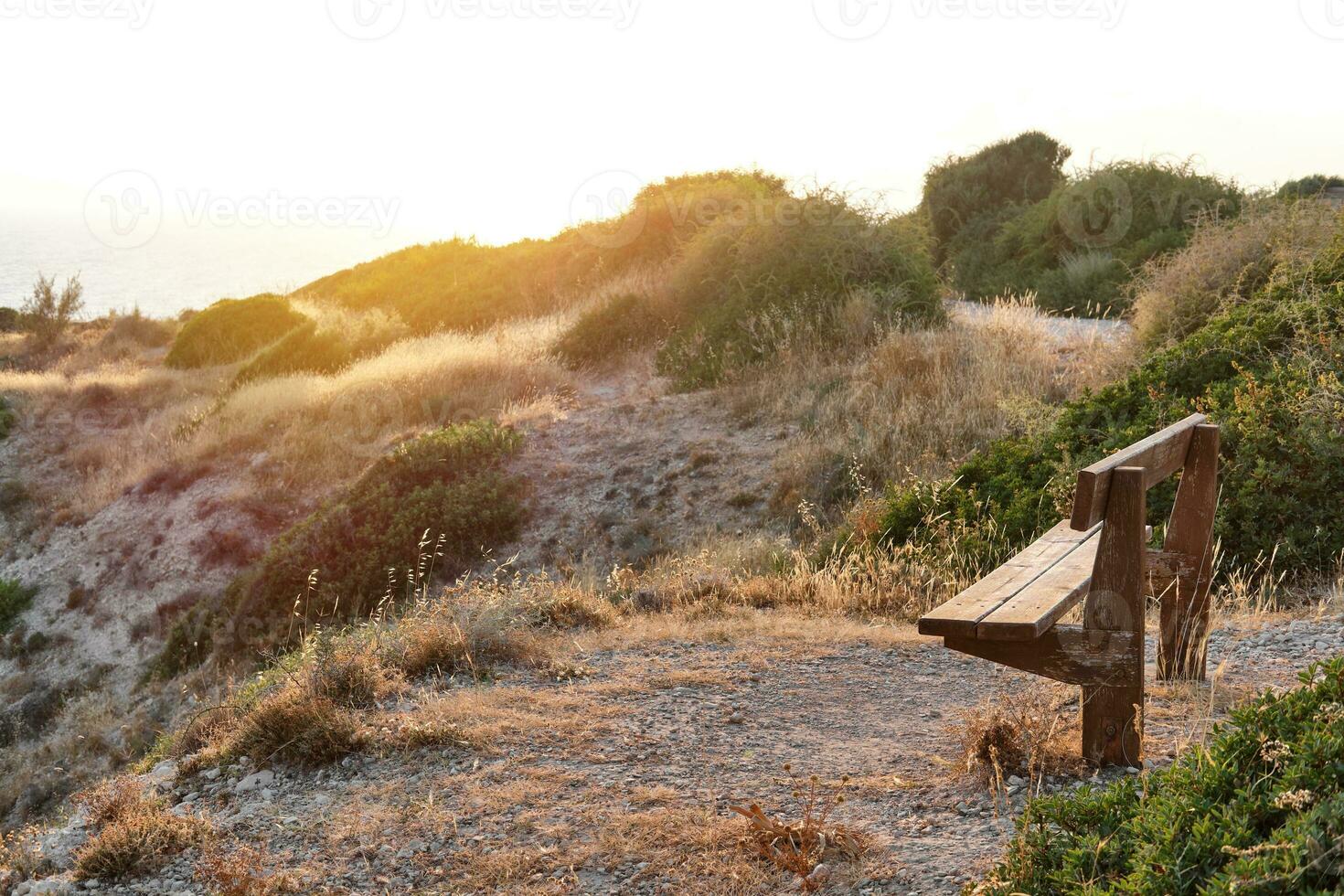 Close-up shot of a wooden bench standing on a mountain at the beach of azure mediterranean sea and surrounded by a beautiful nature of Cyprus. photo