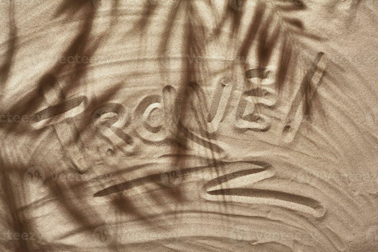 Summer concept with a shadow of a tropical palm tree leaves, copyspace on a white beach sand. photo