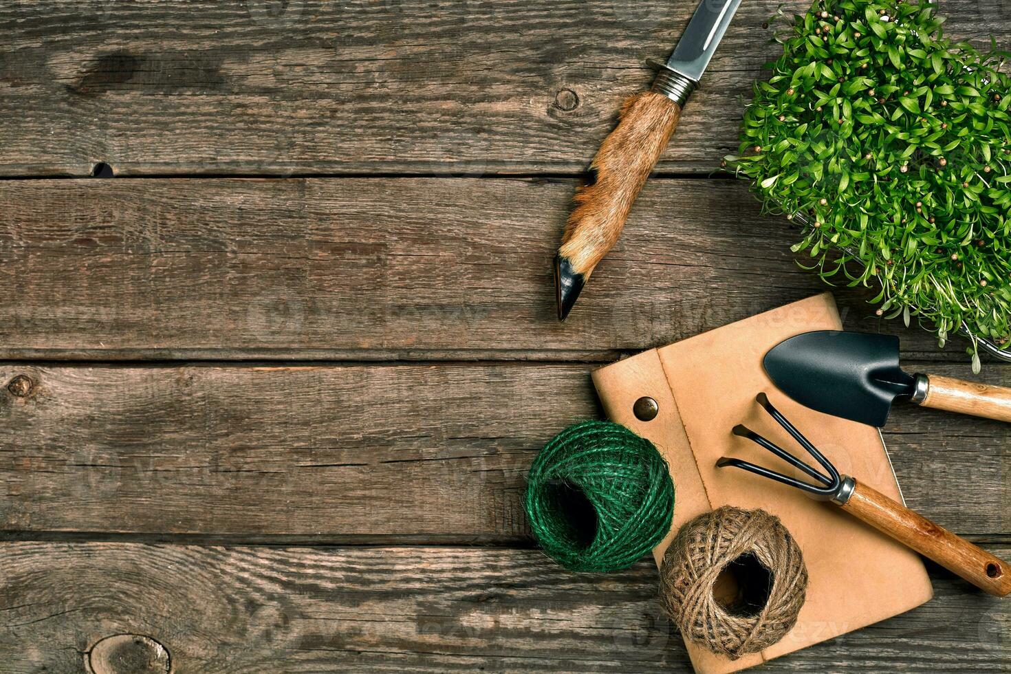 Gardening tools and greenery on wooden table. Spring in the garden photo
