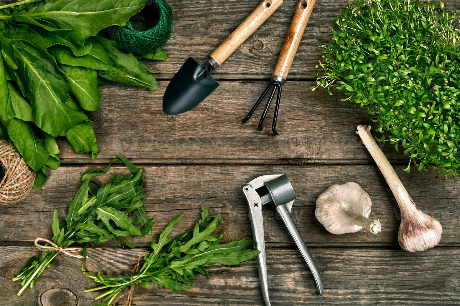 Gardening tools and greenery on wooden table. Spring in the garden photo