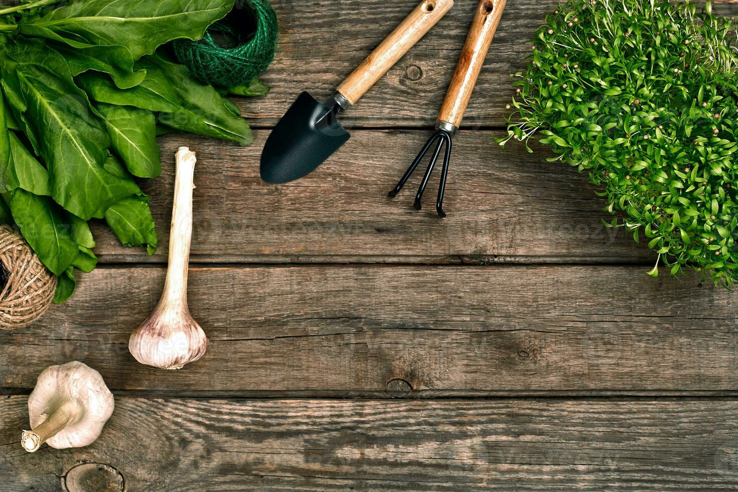 Gardening tools and greenery on wooden table. Spring in the garden photo