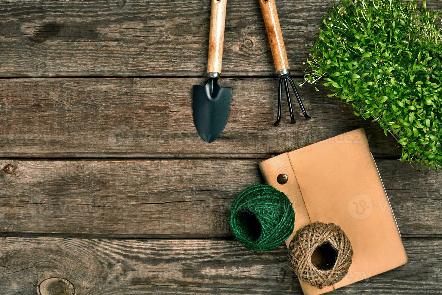 Gardening tools and greenery on wooden table. Spring in the garden photo