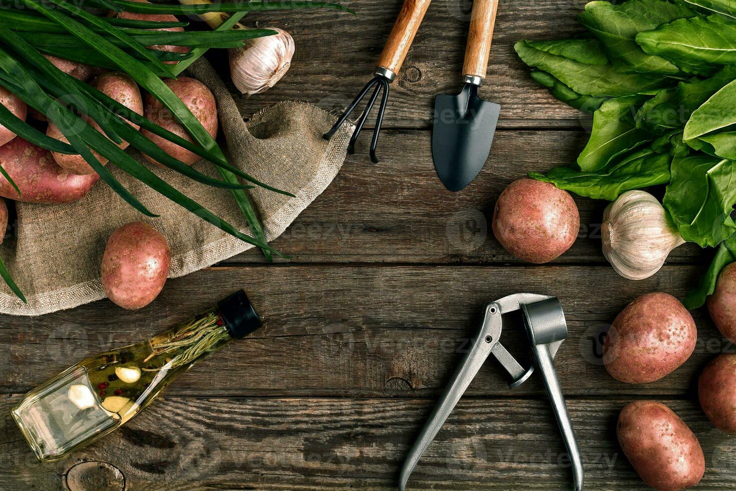 Fresco papas, aceite, ajo y picante hierbas en un cocina de madera antecedentes. Fresco vegetales desde tu propio jardín. foto