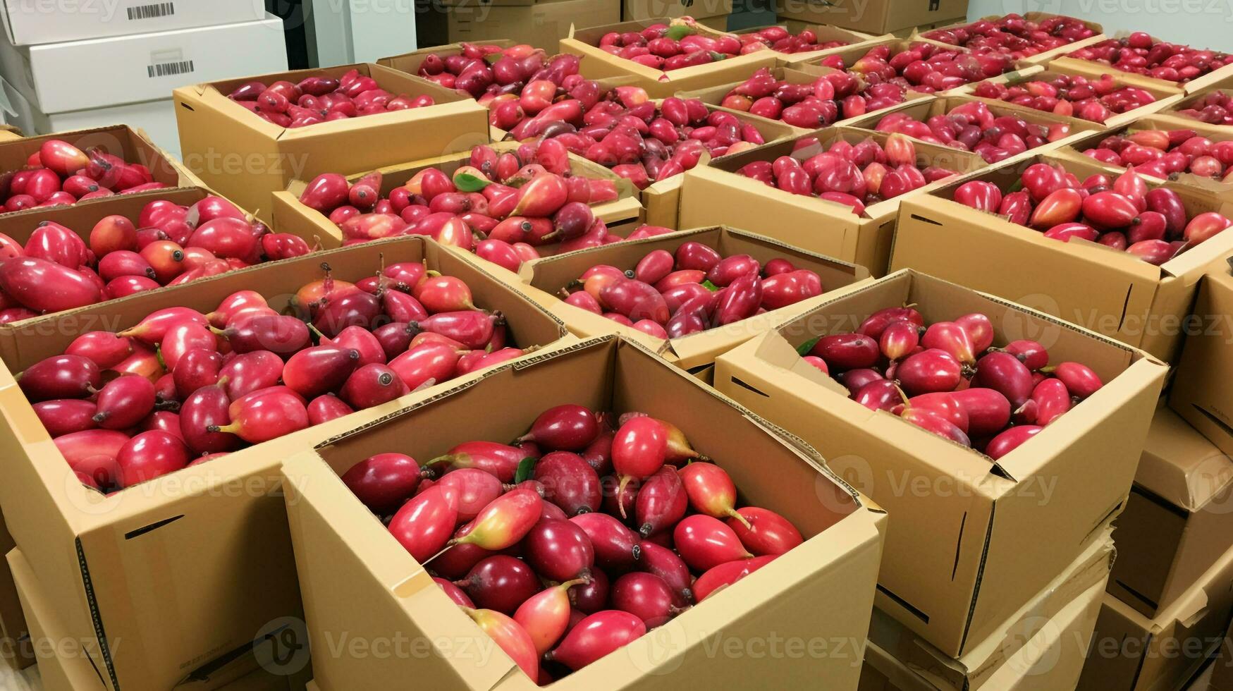 Freshly picked Miracle fruit from garden placed in the boxes. Generative AI photo