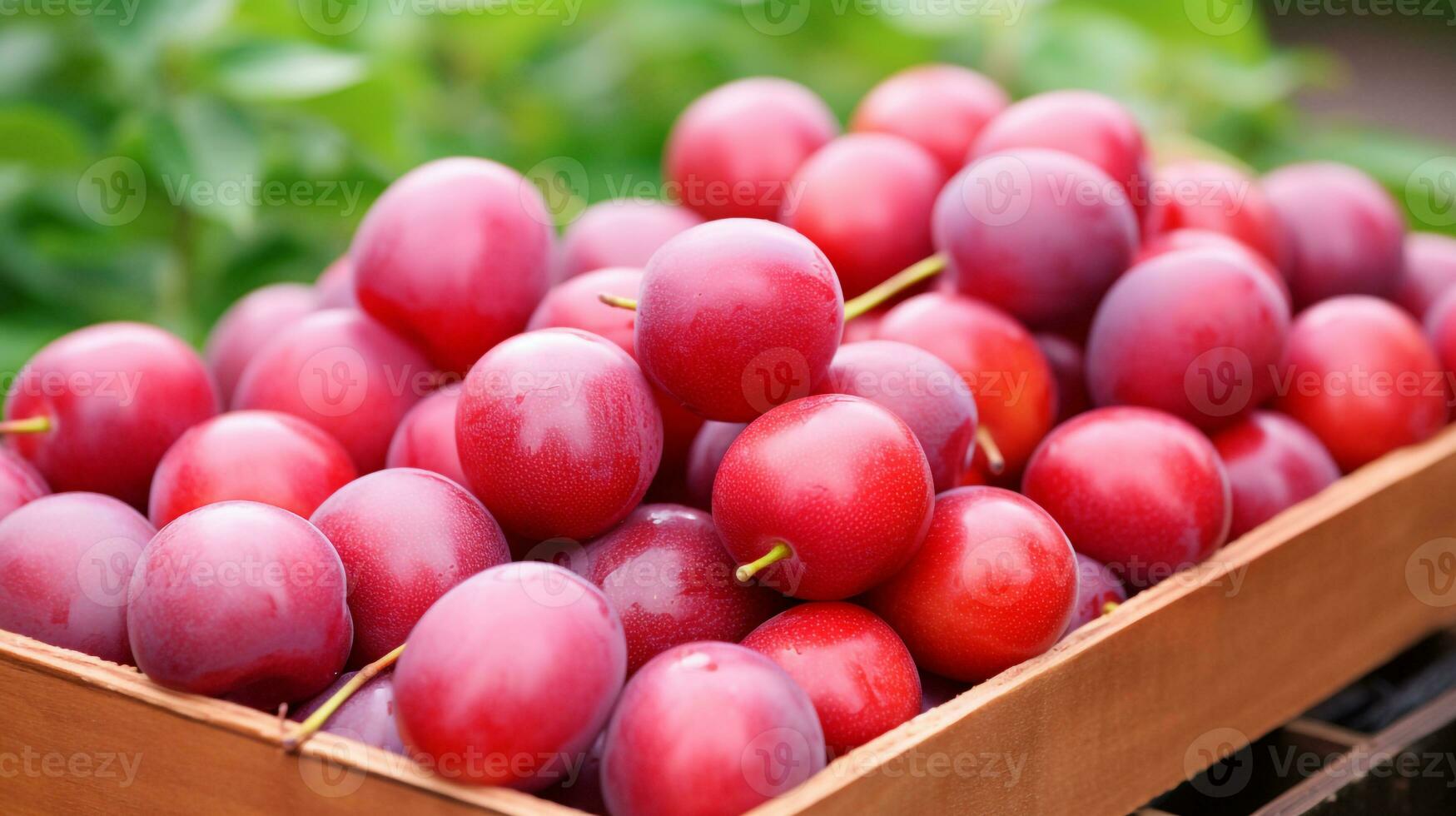 recién escogido japonés ciruela Fruta desde jardín metido en el cajas generativo ai foto